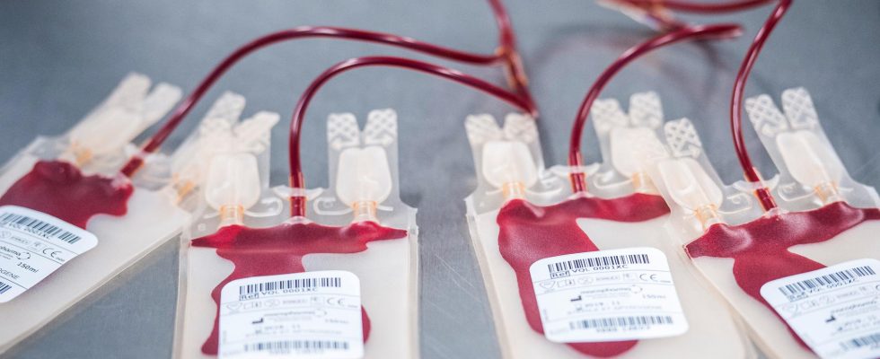 Litigation over girls blood transfusions