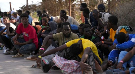 Migrants in Lampedusa Europe persists with inapplicable or unimplemented plans