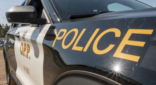 Nanticoke driver dies in single vehicle collision north of Dunnville