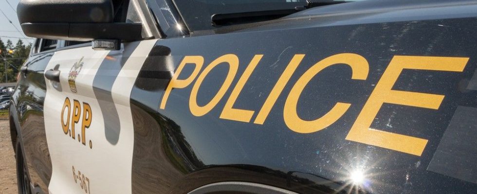 Nanticoke driver dies in single vehicle collision north of Dunnville