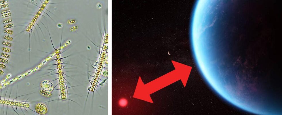 New signs of life on the exoplanet according to Nasa