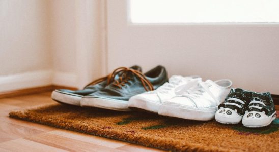 No more shoes lying around the house thanks to this
