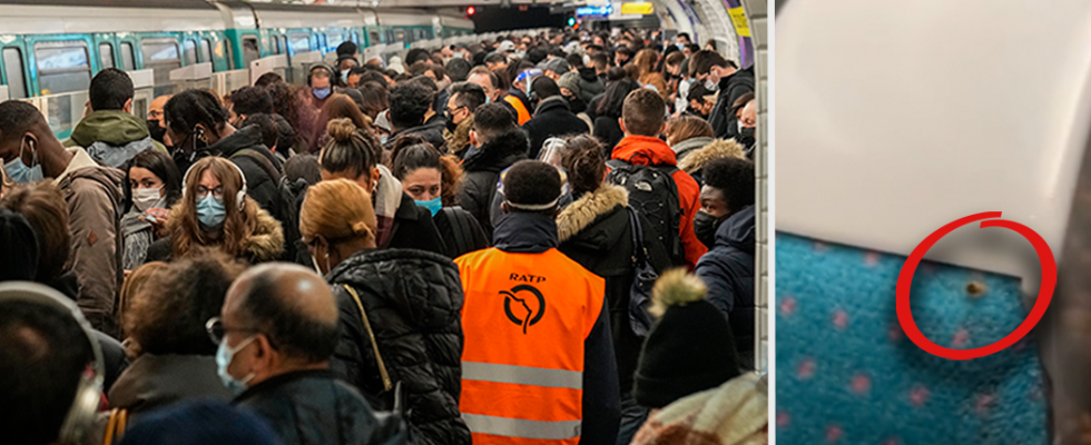 Paris invaded by bedbugs panic among commuters