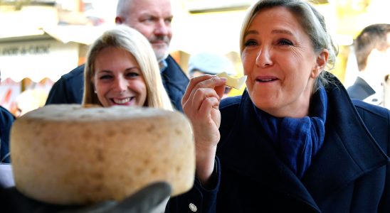 Raphael Llorca Marine Le Pen speaks like Leclerc or Auchan