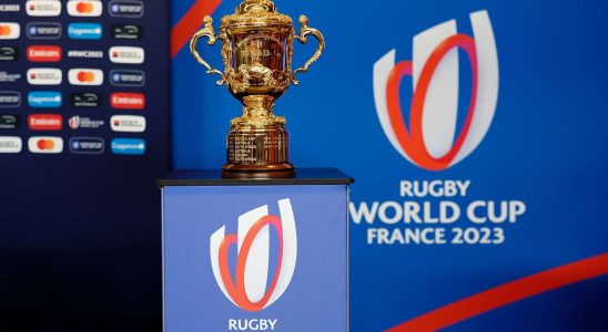 Rugby World Cup earnings what amounts in the event of