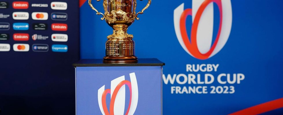 Rugby World Cup earnings what amounts in the event of