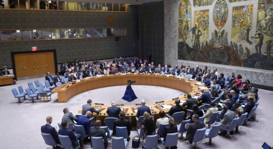 Russia vetoes UN Mali sanctions resolution