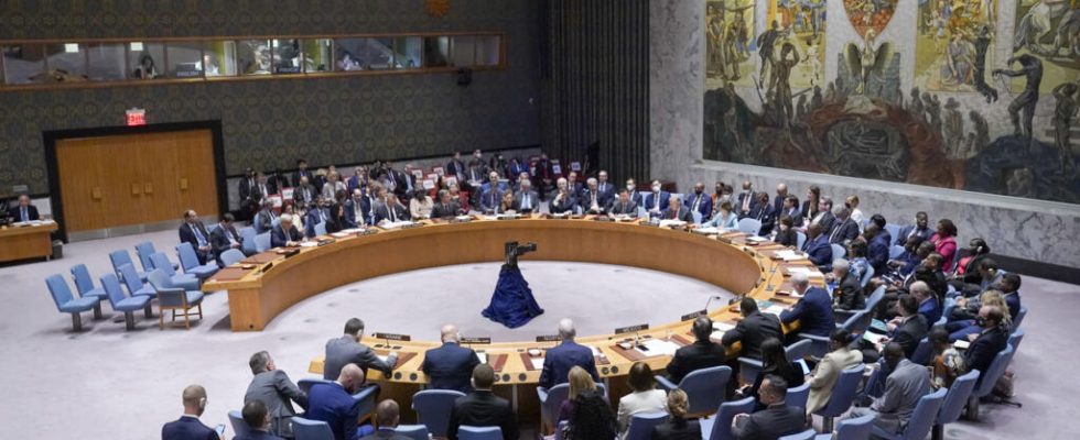 Russia vetoes UN Mali sanctions resolution