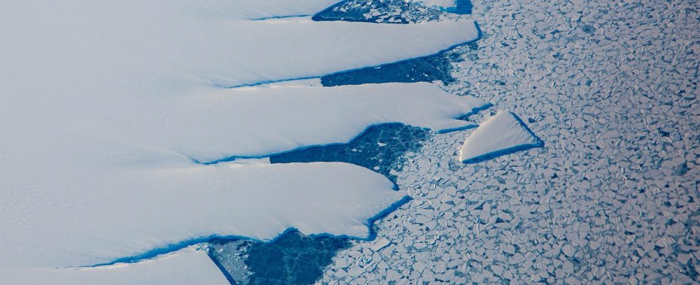 Scientists are raising the alarm about Antarcticas shrinking sea ice