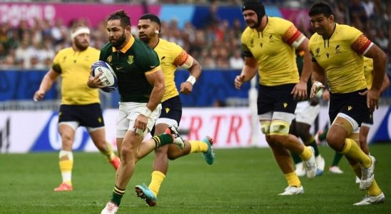 South Africa corrects Romania