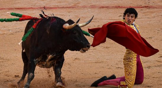 Spain Bullfighting exempted from animal protection law