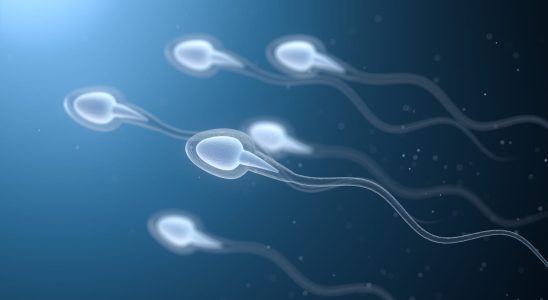 Sperm donation for whom how to do it