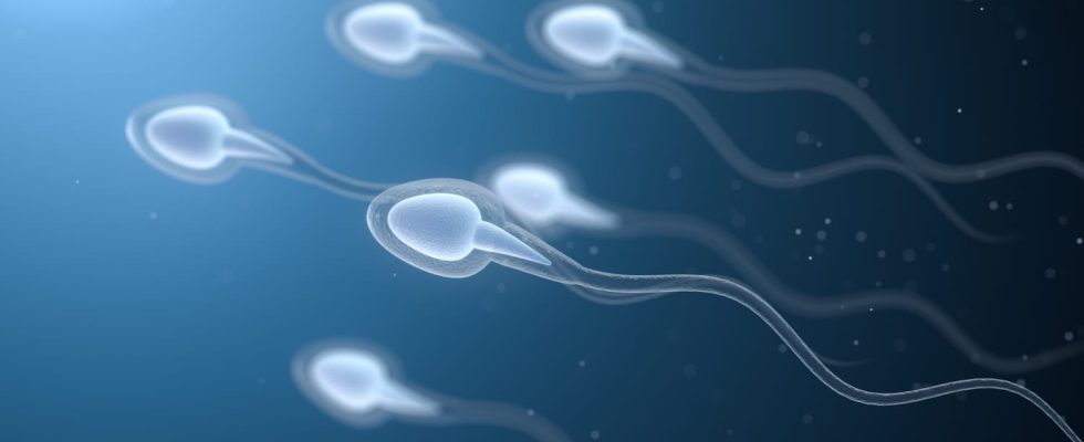 Sperm donation for whom how to do it