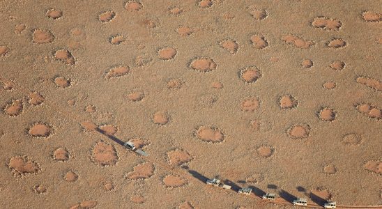 Strange circles appeared in hundreds of places on the planet