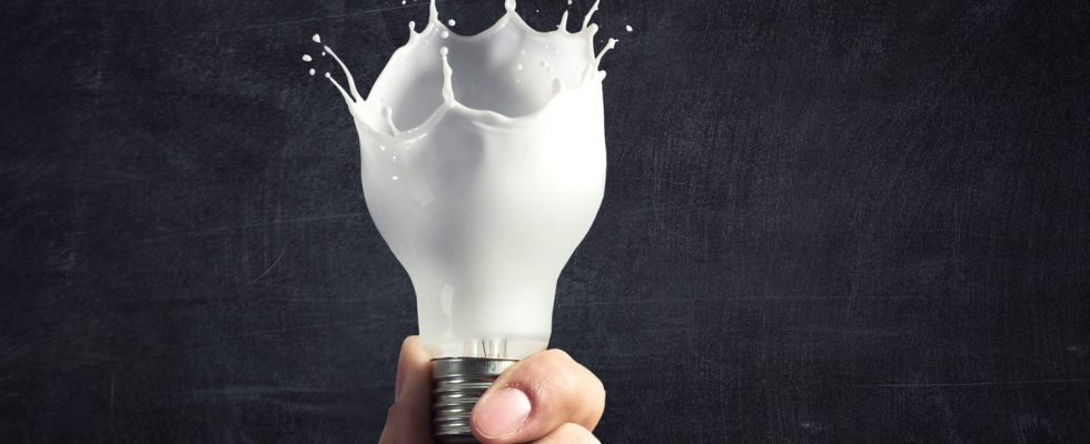 They transform their milk into electricity and heating gas with