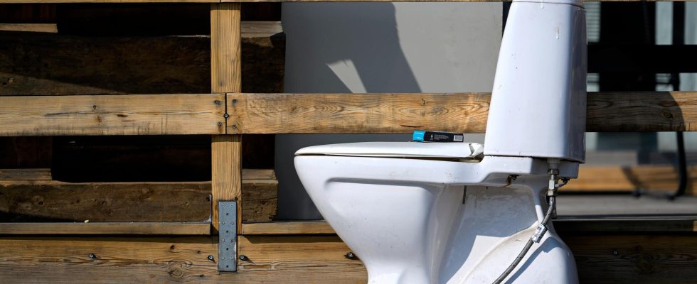 Toilets that recognize butts are praised