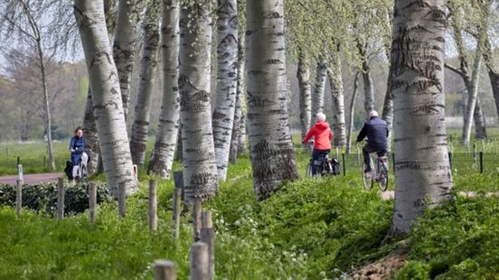 Utrecht is the most ambitious cycling province in the Netherlands