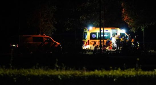 Victim 14 of stabbing incident Nieuwegein is doing relatively well