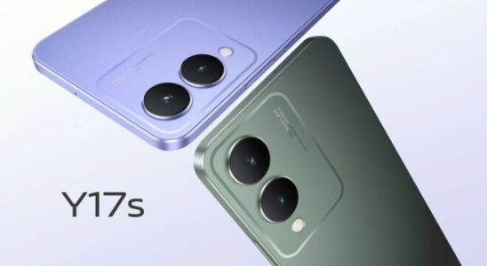 Vivo Y17s which is likely to be sold in Turkey
