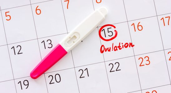 What are the signs of ovulation