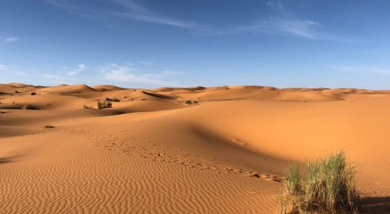 Whats under the desert sand