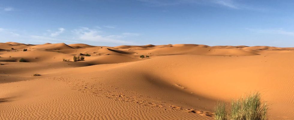 Whats under the desert sand