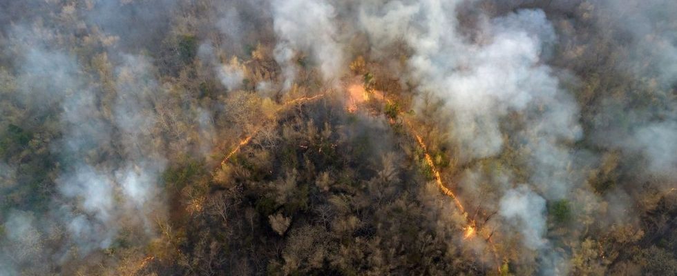 Wildfires smoke could harm brain health