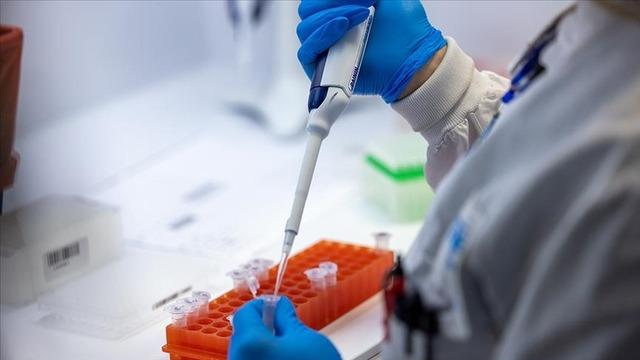 Will new variants of coronavirus cause lockdowns and mask bans