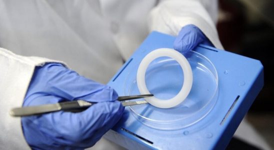 a vaginal ring a new prevention tool against HIV