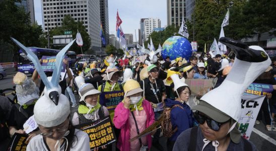 environmental associations march to demand the abandonment of fossil fuels