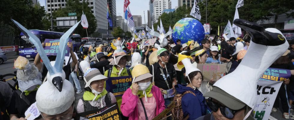environmental associations march to demand the abandonment of fossil fuels