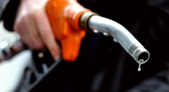 the government will look at the margins of the fuel