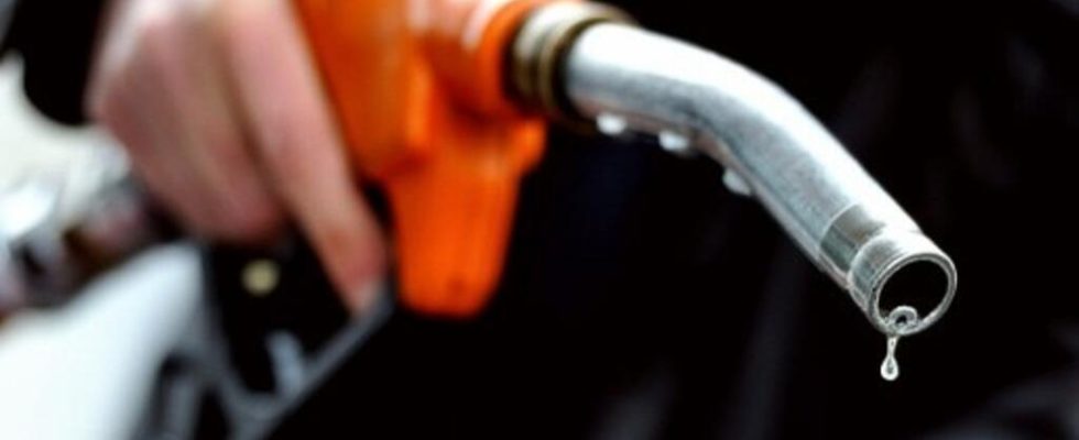 the government will look at the margins of the fuel