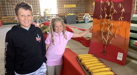 161st Burford Fair packed with activities