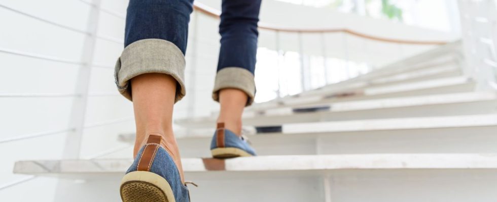4 easy alternatives to 10000 steps a day to stay