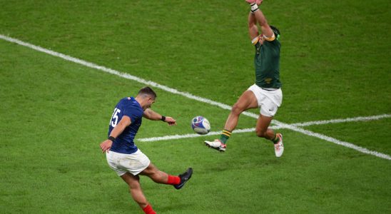 5 errors recognized by World Rugby but could France really
