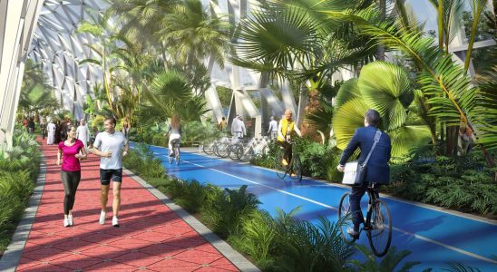 Air conditioned cycle path vertical farms… Dubai dreams of itself as