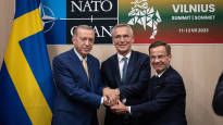 Analysis Erdogan finally made a move and Swedens NATO membership