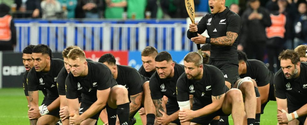 Argentina New Zealand LIVE a semi final without surprises