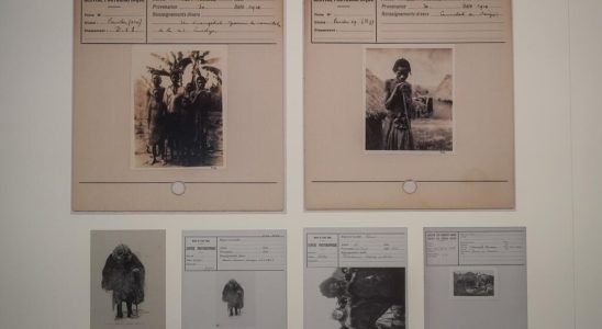 Belgium controversy at the Royal Museum for Central Africa around
