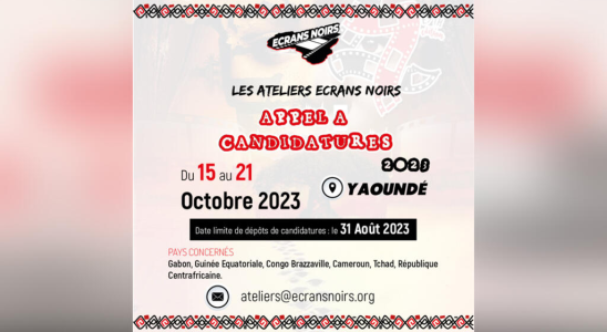 Cameroon at the Ecrans Noirs festival workshops to train in