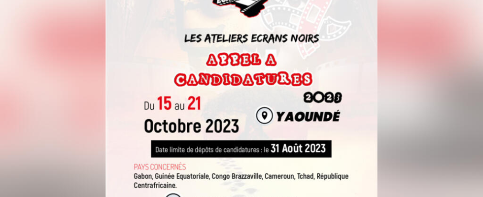 Cameroon at the Ecrans Noirs festival workshops to train in