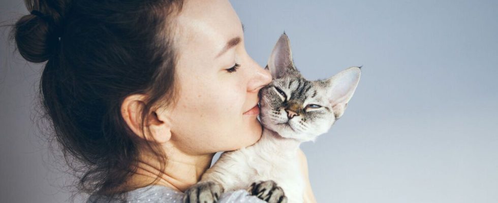 Cat allergy first trials of a vaccine on humans