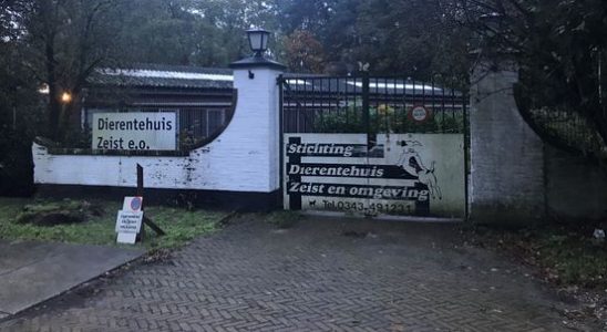 Dierentehuis Zeist fears inconvenience after KNVB expansion plans Then we