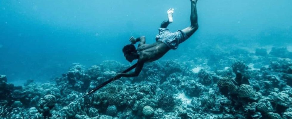 Do you know the Bajau These are the first humans