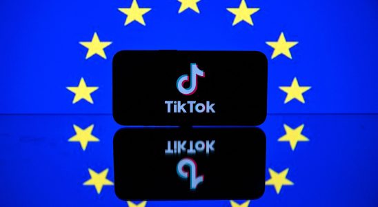 EU opens investigation into Meta and TikTok for disinformation –