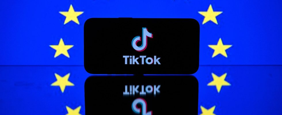 EU opens investigation into Meta and TikTok for disinformation –