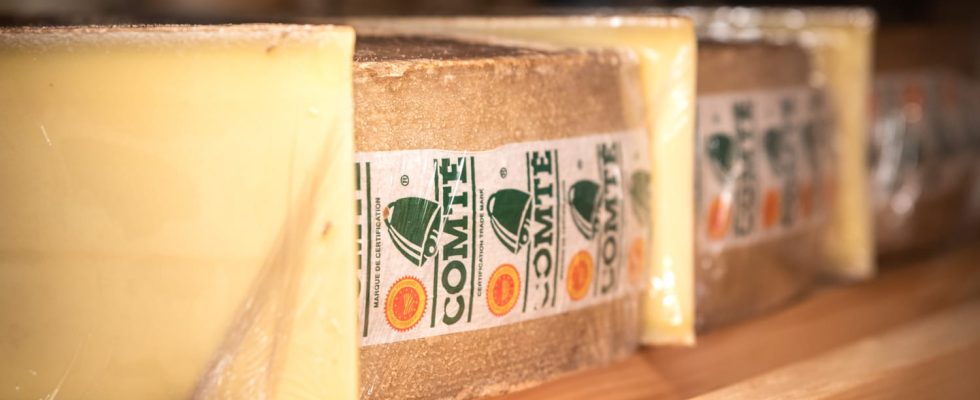 Eating Comte cheese makes you lose weight really