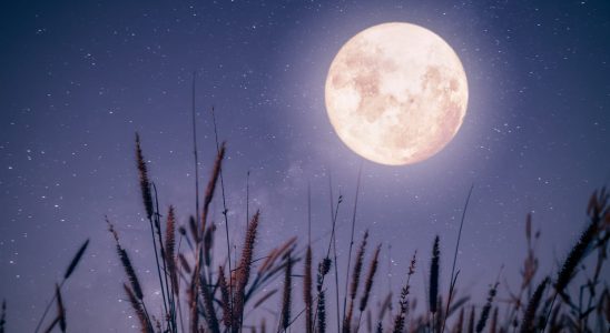 Full Moon of October 28 which astrological signs will be
