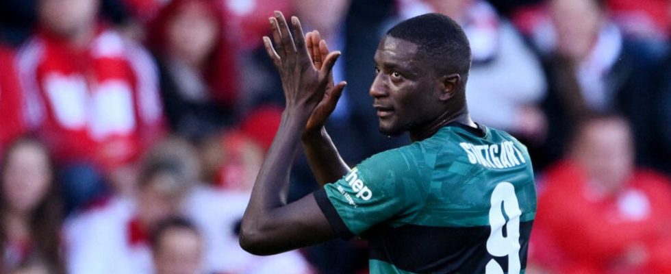 Guinean Guirassy ​​top scorer in the Bundesliga stopped by injury